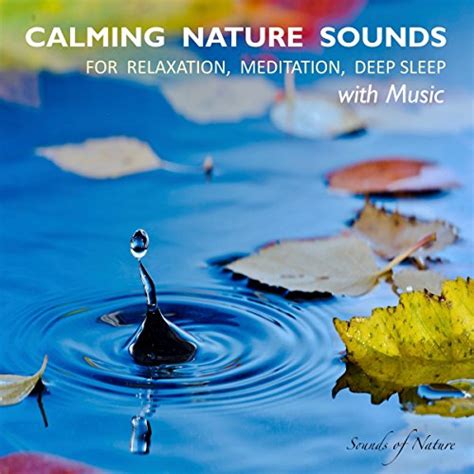 Calming Nature Sounds With Music Audiobook | Free with trial