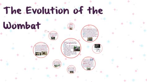 The Evolution of the Wombat by sophia tran on Prezi