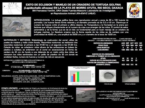 Pdf Exito De Eclosion Y Manejo De Un Criadero De Tortuga Golfina En