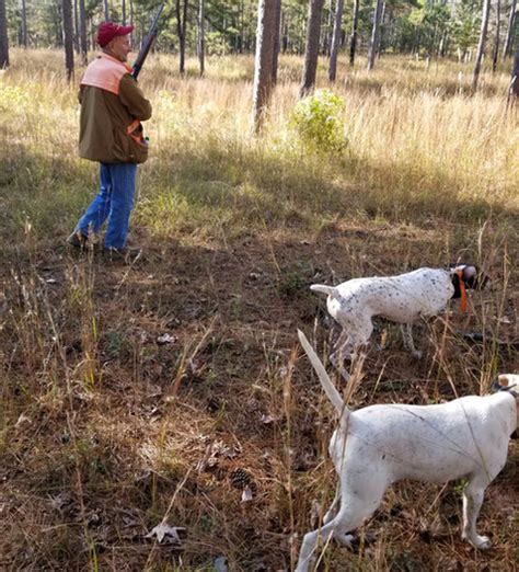 Sporting Clays Big Red Oak Plantation United States