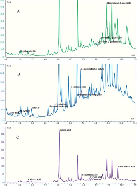 Representative Hplc Dad Chromatograms Obtained For Phenolic Compounds