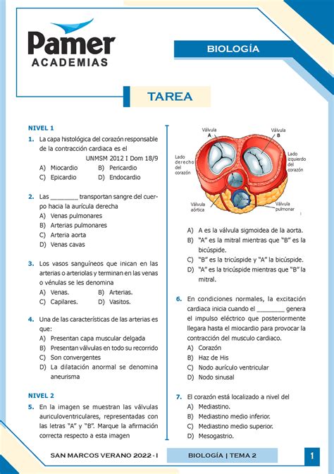 T Sem Bio Sistema Circulatorio San Marcos Verano I Biolog A