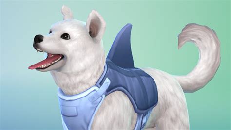 The Sims 4 Cats & Dogs: New Sim Aspirations & Traits | SimsVIP