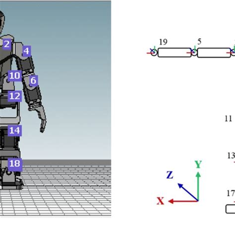 Robotic and human body joints. a Robotic body joints. b Human body ...