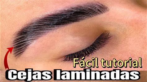 Cómo hacer cejas laminadas caseras paso a paso Tutorial Paso a Paso