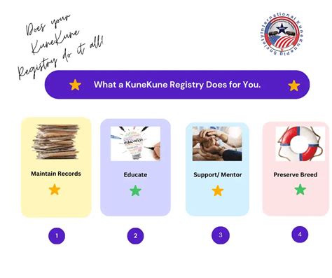 What Is A Kunekune Registry And Why Is It Important IKKPS