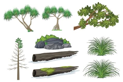 Geïsoleerde bomen en natuurobjecten set Gratis Vector