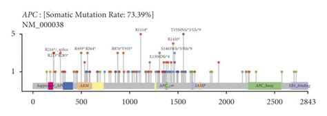 Distinct Mutational Patterns In Chinese Crc Patients By Apc Gene