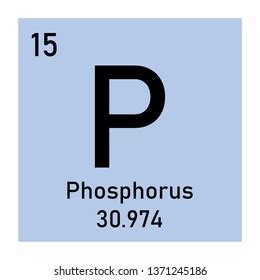 Phosphorus Atomic Number Mass Number Stock Illustration 1937524126 | Shutterstock