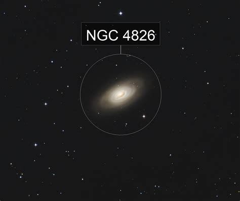 M 64 The Black Eye Galaxy Thomas Rox Astrobin