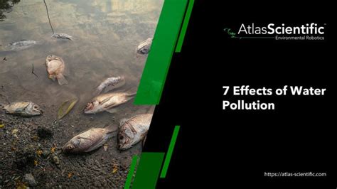 7 Effects Of Water Pollution | Atlas Scientific