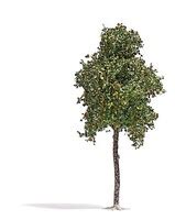 In Stock Busch Sycamore Model Railroad Trees