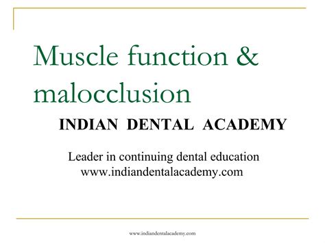 Muscle Function And Malocclusion Certified Fixed Orthodontic Courses By Indian Dental Academy Ppt