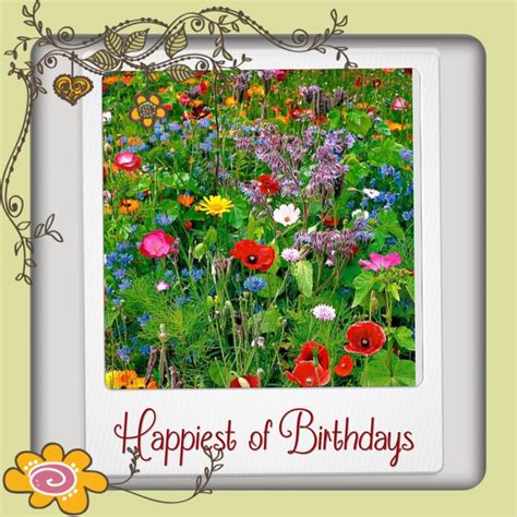 Pin By Grammie Newman On Birthday Beautiful Flowers Garden Plants