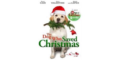 The Dog Who Saved Christmas Movie Review | Common Sense Media