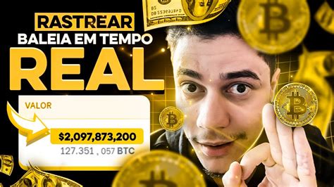 Hack Para Rastrear Baleias De Criptomoedas E Ganhar Dinheiro Youtube