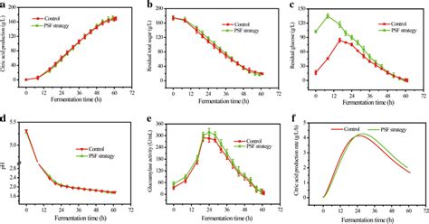 Citric Acid Fermentations By Pre Saccharification And Fermentation