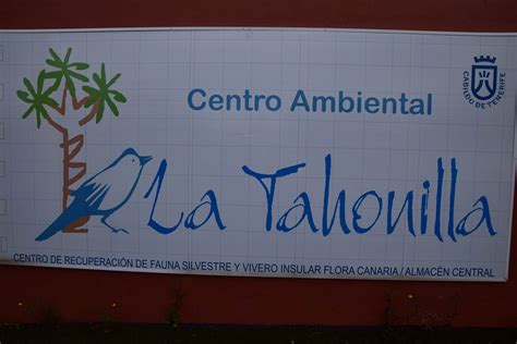 Los Or Genes Del Centro Ambiental La Tahonilla Dedicado A La