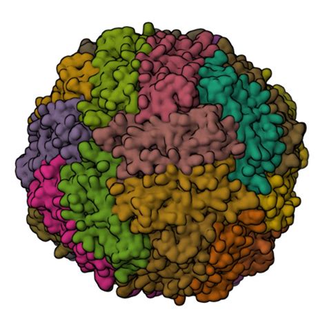 Rcsb Pdb Wx Cryo Em Structure Of Human Apoferritin Light Chain