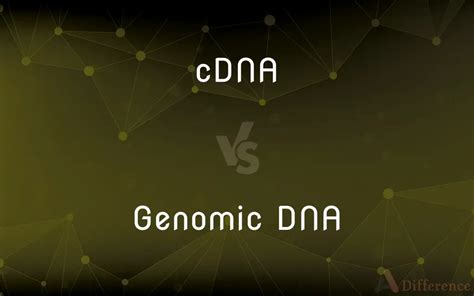 Cdna Vs Genomic Dna Whats The Difference