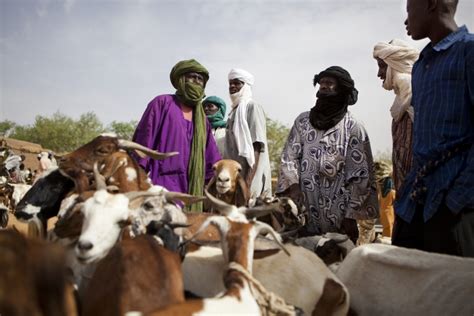 Irin Out Of Spotlight Humanitarian Crisis Continues In Mali