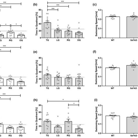 Male 5xFAD Mice Display Age Dependent Spatial Learning Deficits In The