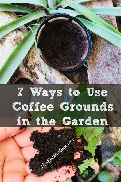 How To Apply Coffee Grounds To Garden