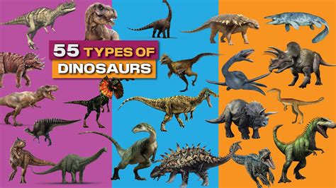 Dinosaur Names In English With Pictures Part 2 Dinosaur Names