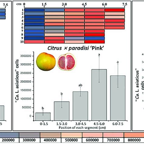 Quantification Of Candidatus Liberibacter Asiaticus CLas From Six