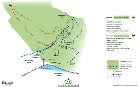 Rostrevor Forest The Mourne Mountains