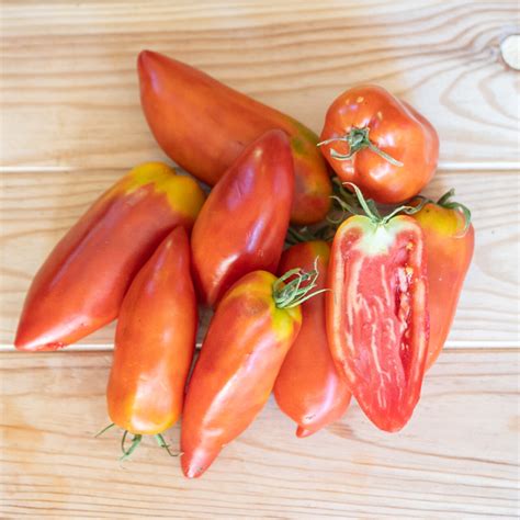 Plants De Tomates Tomate Cornue Des Andes Plants Bio