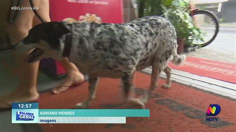 Meu Amigo Animal mudanças climáticas podem ocasionar problemas na pele