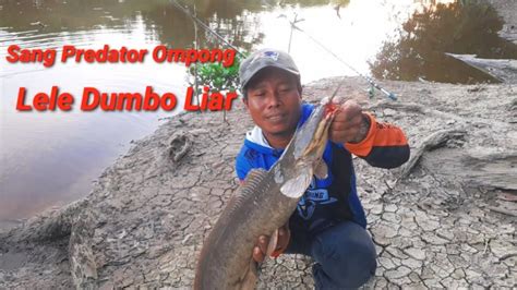 Mancing Ikan Lele Monster Youtube