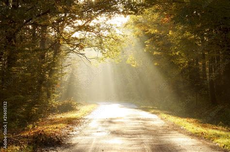 Country Road Through Autumn Forest At Sunrise Stock Photo Adobe Stock