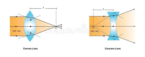 Diverging Lens Stock Illustrations – 88 Diverging Lens Stock ...