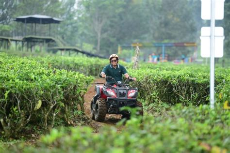 Goalpara Tea Park Wisata Hits Di Kaki Gunung Gede Pangrango