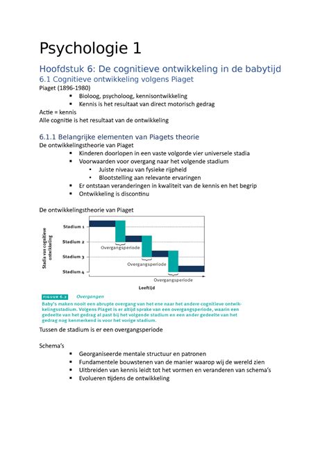 Samenvatting Pedagogie Psychologie 1 Hoofdstuk 6 De Cognitieve