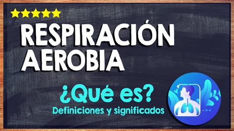 Qué es la Respiración Aerobia Conoce todo Sobre la Oxigenación