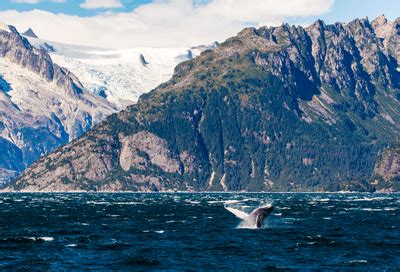 Kenai Fjords Glacier Tours | Kenai Fjords National Park