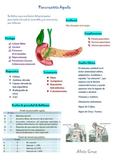 Ciclo De Krebs Res Menes De Medicina Ciclo De Krebs Udocz Hot Sex Picture