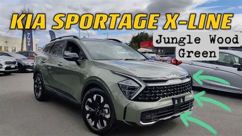 Kia Sportage 2024 Jungle Green Stefa Tamarah