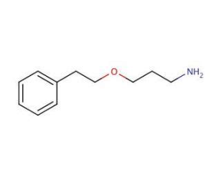 3 2 Phenylethoxy Propan 1 Amine SCBT Santa Cruz Biotechnology