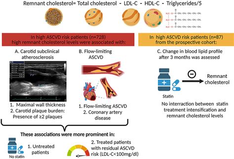 Medvasc Risque R Siduel Et Rcv