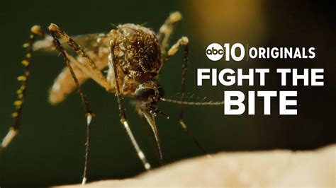 West Nile virus is in the Sacramento Valley: Fighting the bite | abc10.com