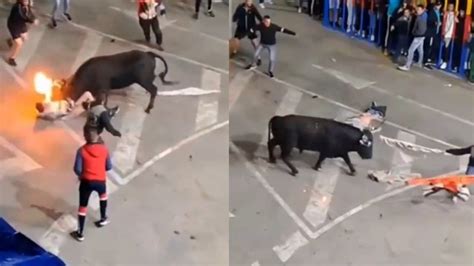 Video Sujeto Qued Internado Tras Ser Corneado Por Toro Al Que Le