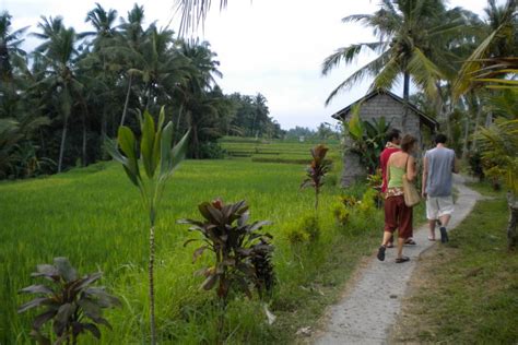 Campuan Ridge Walk Ubud Fabulousubud