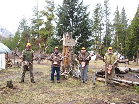 elk wyoming elk hunt, wyoming mule deer hunt, elk hunt wyoming ...