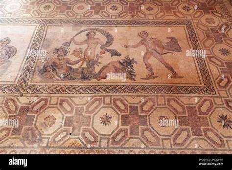 Apollo And Daphne Mosaic In House Of Dionysos Roman Villa In Paphos