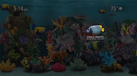 Aquarium Screensaver | TV App | Roku Channel Store | Roku