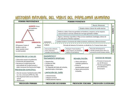 HNE Historia natural de la enfermedad Epidemiología y Salud Pública